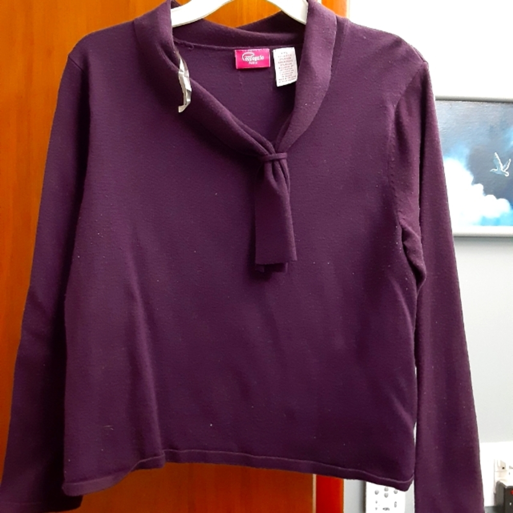 Pappagallo Petite  XL Purple sweater